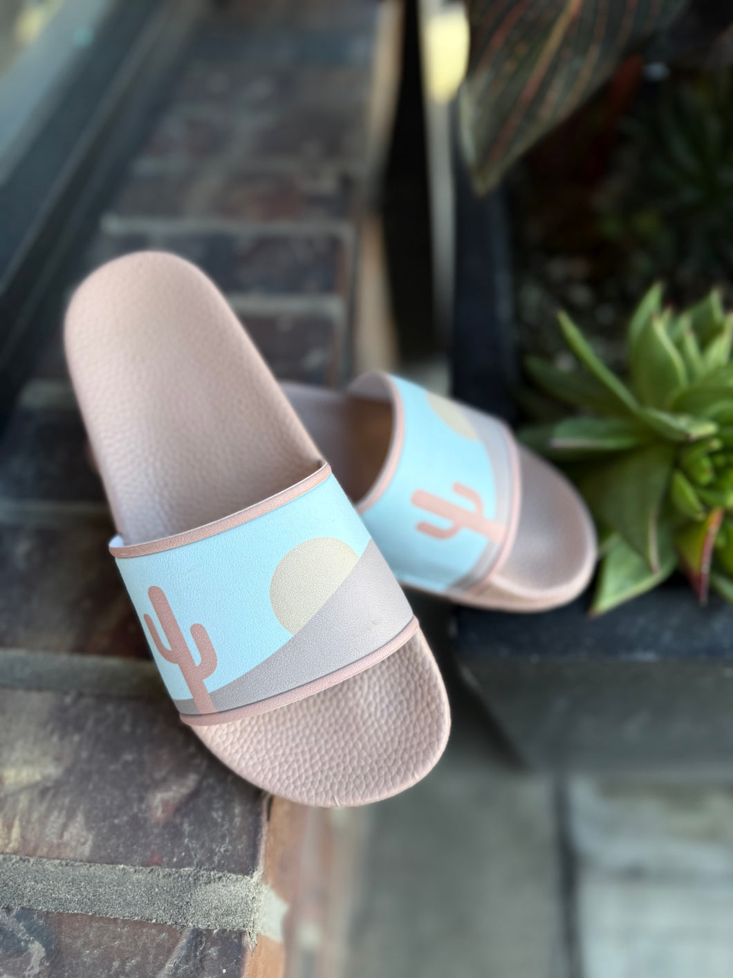 “Out In The Desert” Slide
