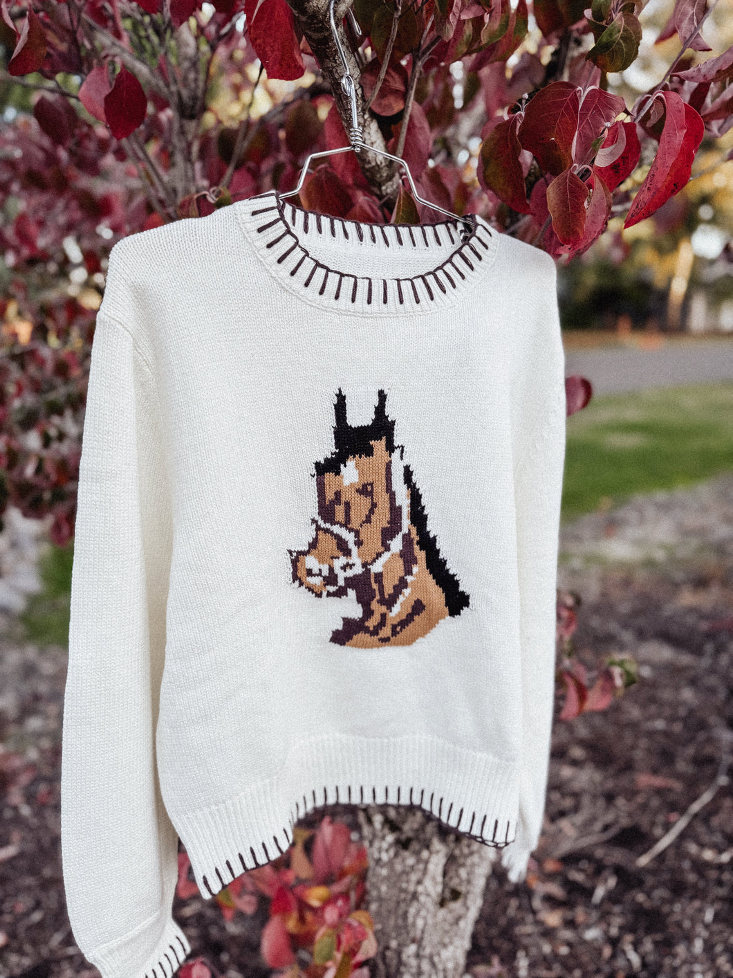 “Ride Free” Horse Sweater
