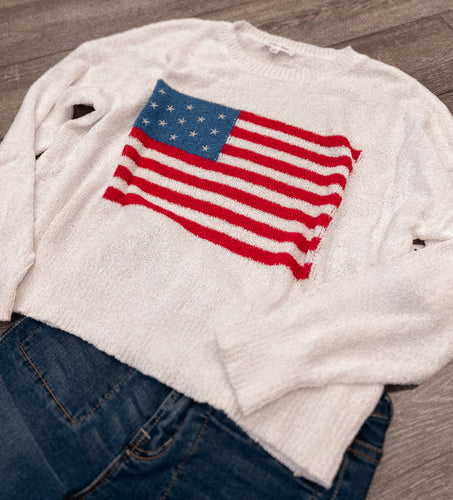 “Party In The USA” Sweater